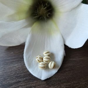 Offwhite - goud meloenkraal 8mm