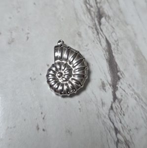 Zeeschelp 21*15mm RVS (zk)